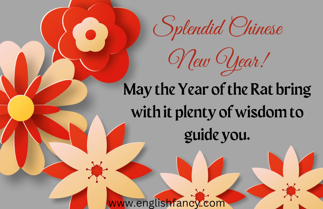 110+ Chinese New Year Wishes And Greetings 2024 EnglishFancy